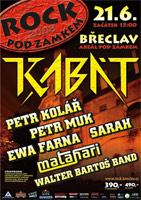 Rock pod Zámkem 2008 - plakáty